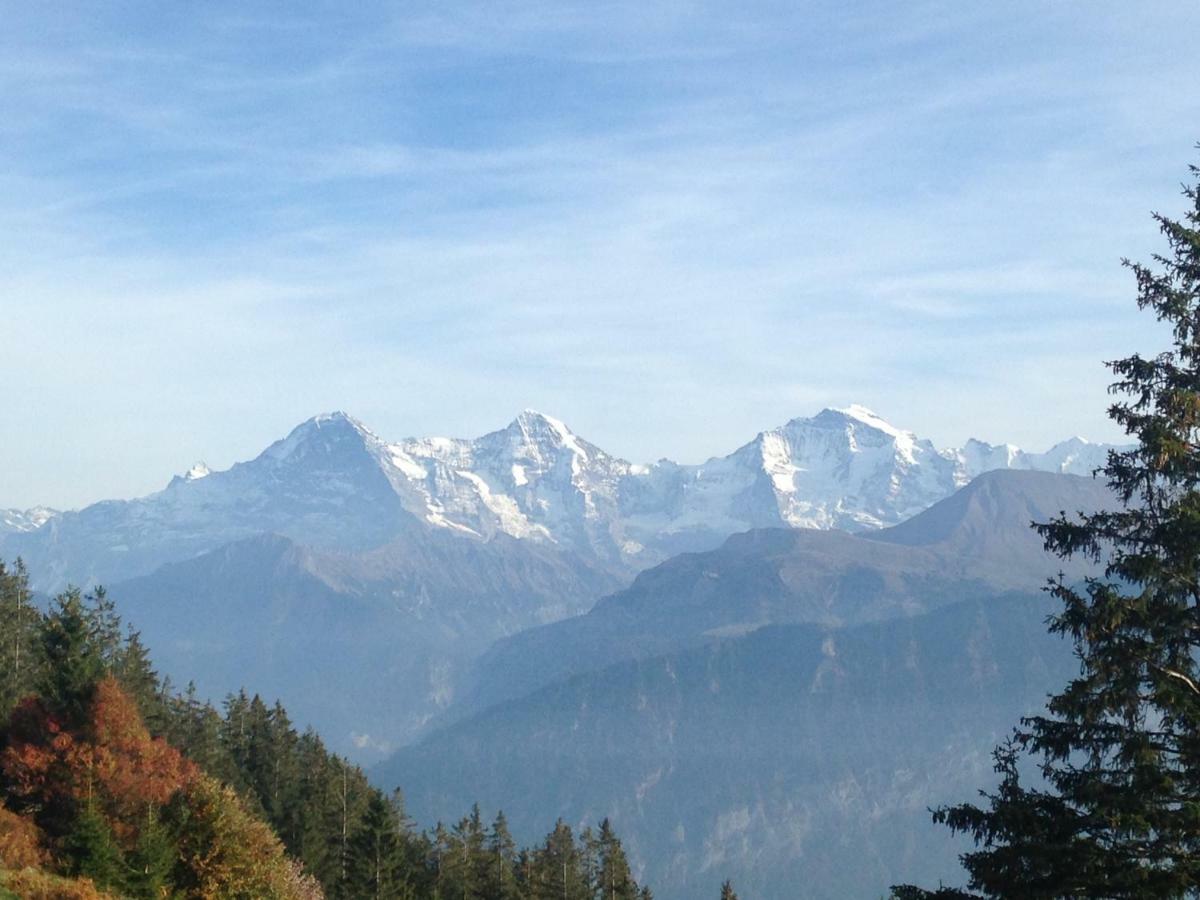 App. Seeblick Top Of Interlaken Beatenberg Exteriér fotografie