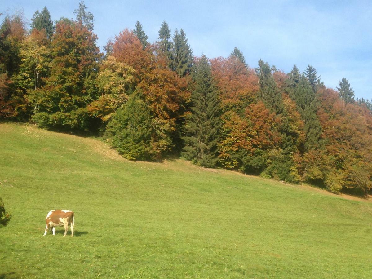 App. Seeblick Top Of Interlaken Beatenberg Exteriér fotografie